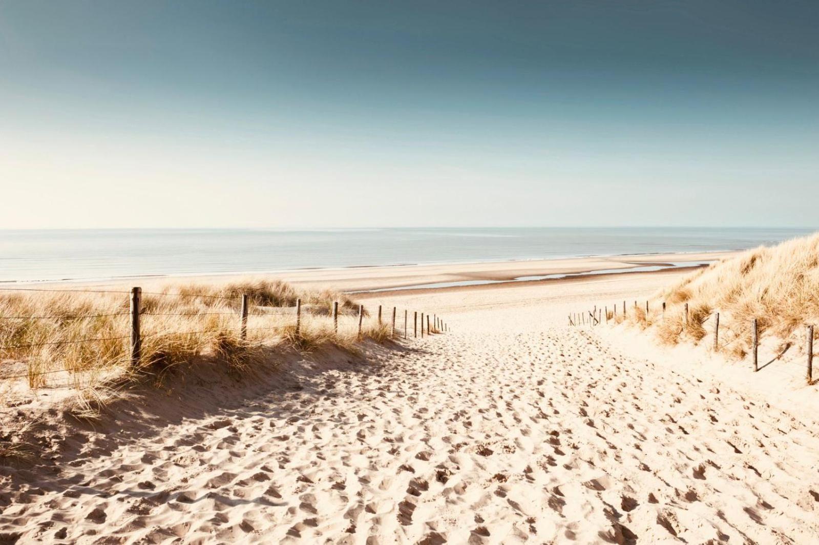 Noordster Beachhouse Noordwijk Esterno foto
